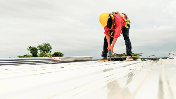 Best Emergency Roof Repair Services  in Alpine, NJ